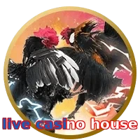 live casino house